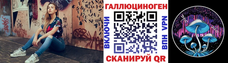 закладки  Алейск  Галлюциногенные грибы Magic Shrooms 